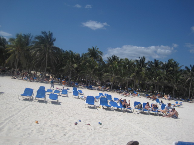 Picture 090