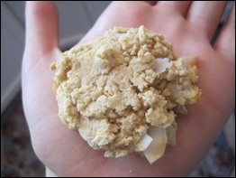 Gracie's Coconut Macadamia Cookies Gracie's Coconut Macadamia Cookies