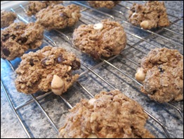Dreena's Super Charge Me Cookies Dreena's Super Charge Me Cookies