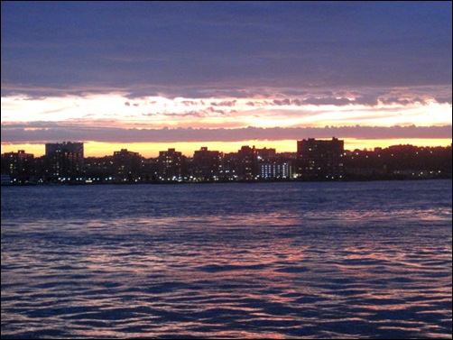 Picture 010