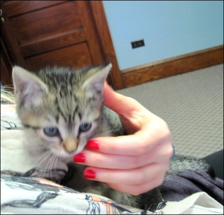 Picture 022