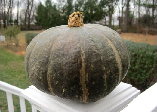 Kabocha Kabocha