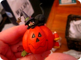 Picture 008
