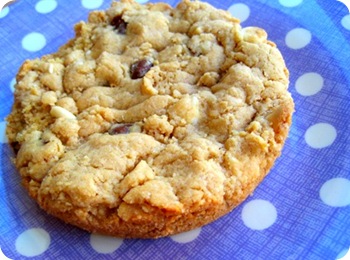 Individual Peanut Butter Chocolate Chip Cookie Cake Individual Peanut Butter Chocolate Chip Cookie Cake