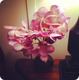 flower2
