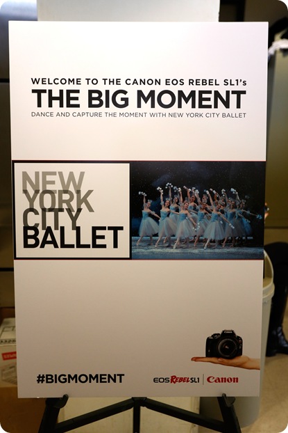 NEW YORK, NY - DECEMBER 11: General view at Canon's The Big Moment with the New York City Ballet at Lincoln Center for the Performing Arts on December 11, 2013 in New York City. (Photo by Brian Ach/Getty Images for Canon) NEW YORK, NY - DECEMBER 11: General view at Canon's The Big Moment with the New York City Ballet at Lincoln Center for the Performing Arts on December 11, 2013 in New York City. (Photo by Brian Ach/Getty Images for Canon)